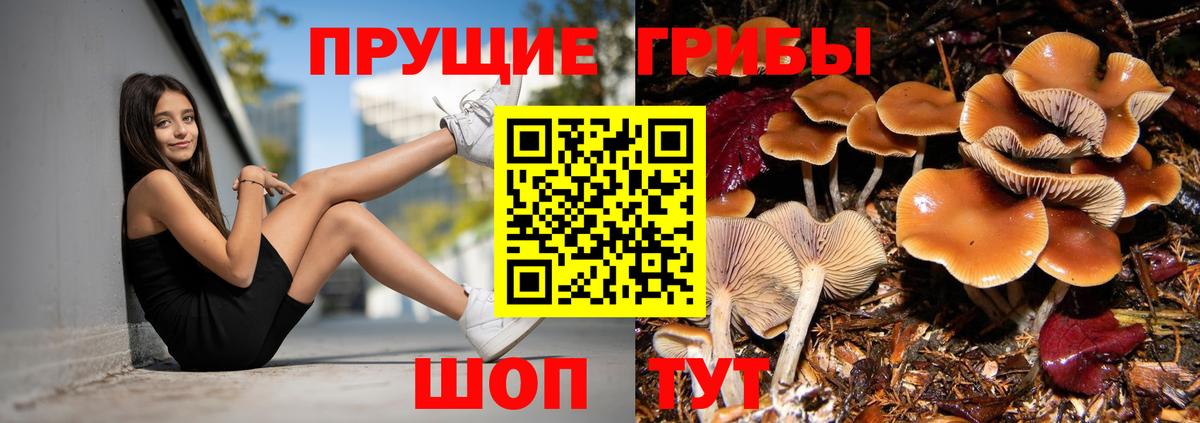 Галлюциногенные грибы мухоморы  Вход с VPN  Россошь 
